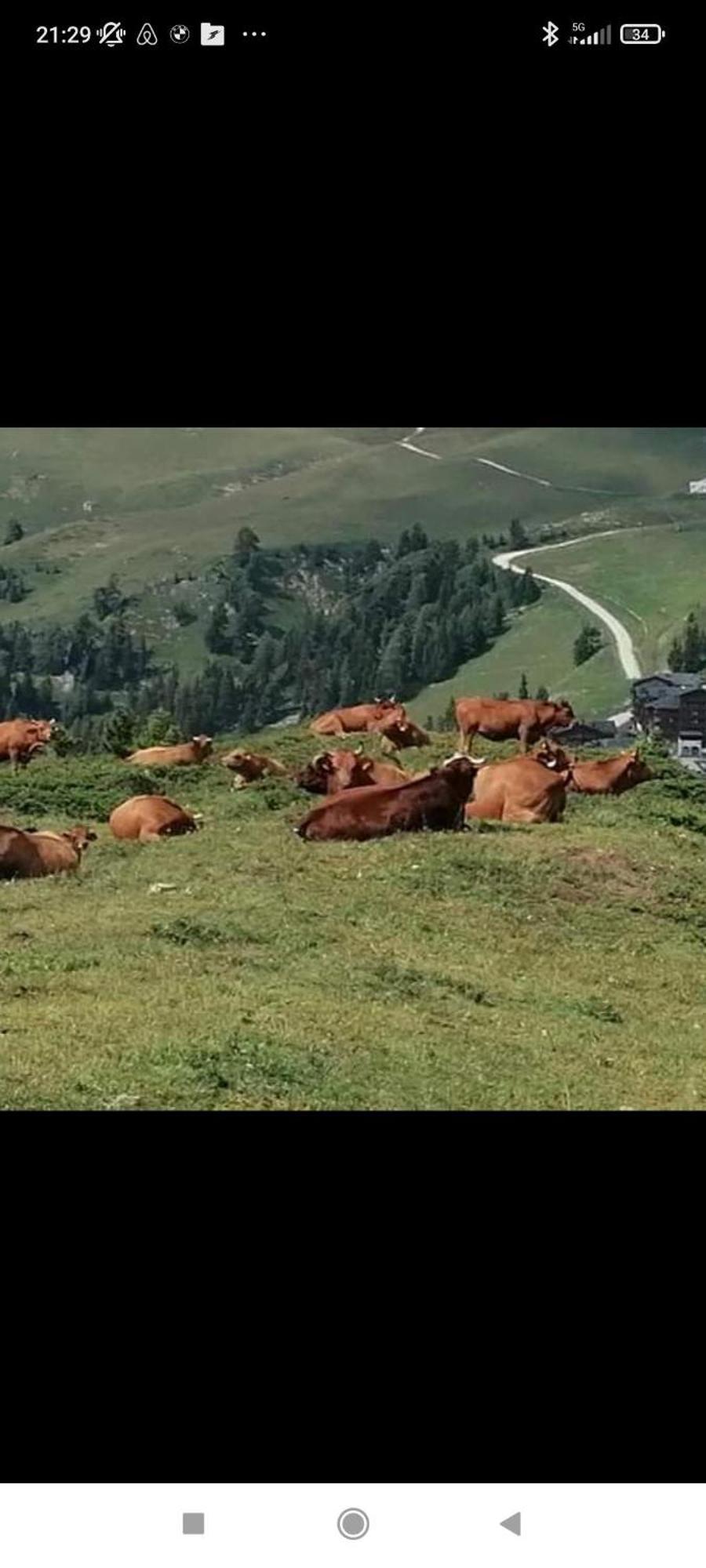 Studio Au Pied Des Pistes Avec Vue Sur La Montagne Mieussy Dış mekan fotoğraf